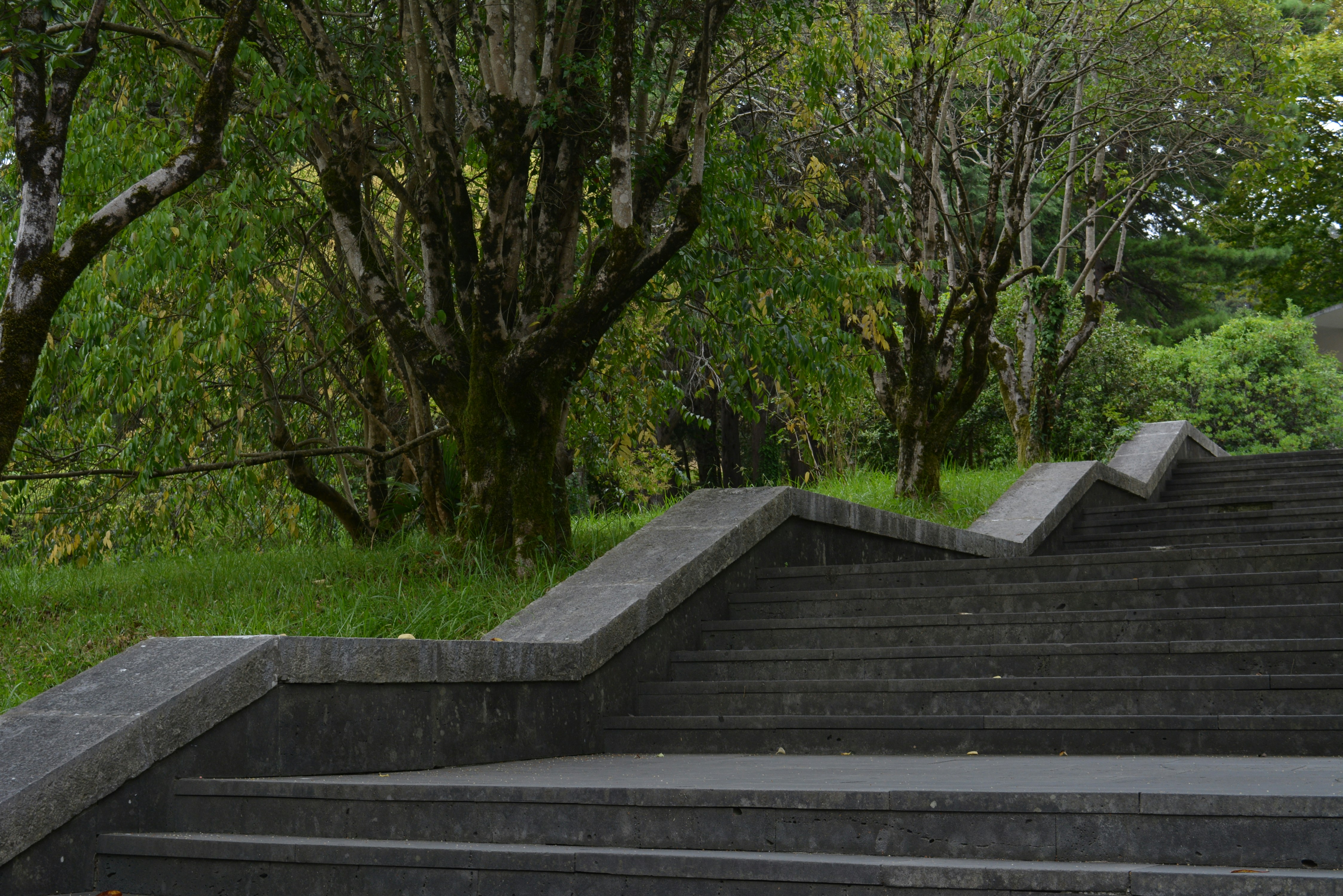 a person riding a skateboard down a set of stairs