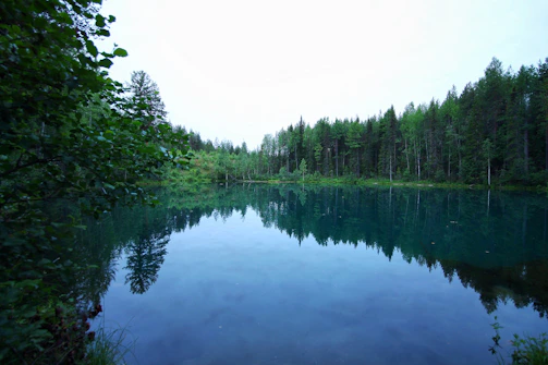A tranquil lake reflecting dense green forest under a soft overcast sky.
