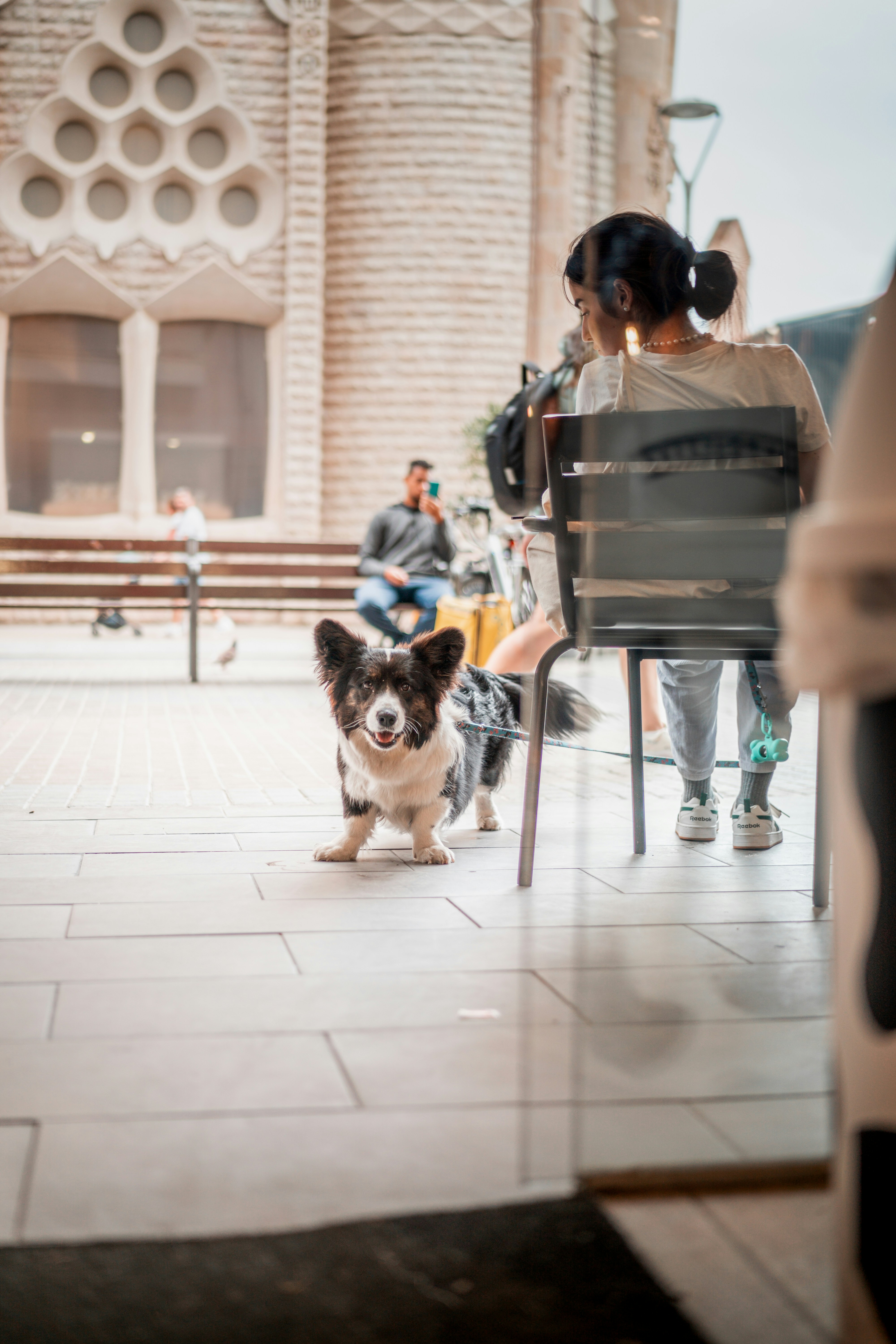 Um cachorro sentado no chão na frente de uma pessoa sentada em uma cadeira  foto – Imagem grátis sobre Mulher na Unsplash, image size:3000x4500