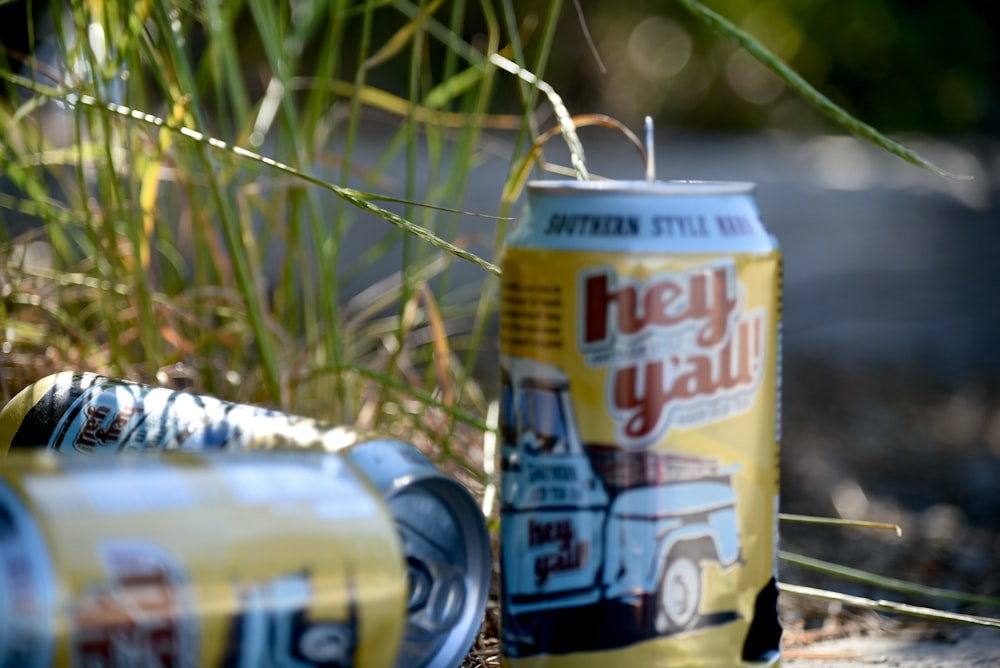 two cans of beer sitting on the ground