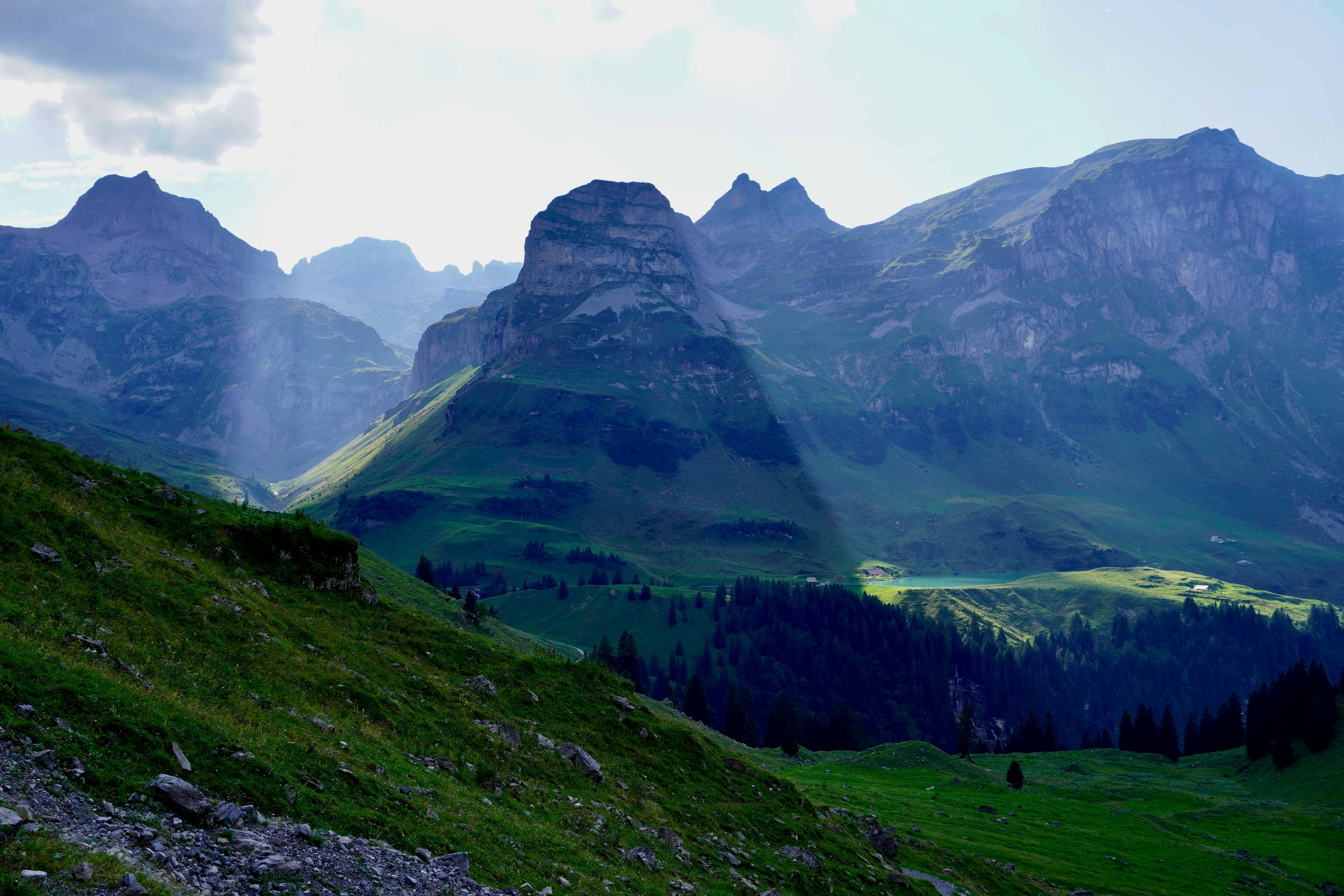 Photo by peterburdon