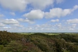 Wide shot of a vibrant landscape with neatly trimmed trees and green fields.