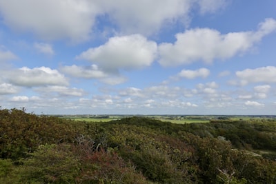 Wide shot of a vibrant landscape with neatly trimmed trees and green fields.