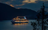 Nighttime shot of the illuminated MSC cruise ship sailing under a starry sky.