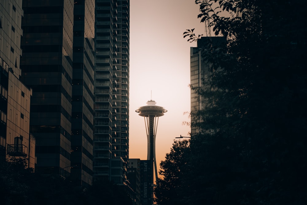 the space needle in seattle at sunset