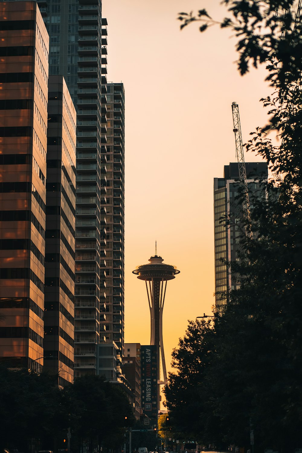 a city street with tall buildings in the background