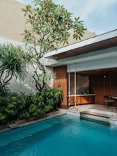 a pool with a tree - Singapore real estate investment