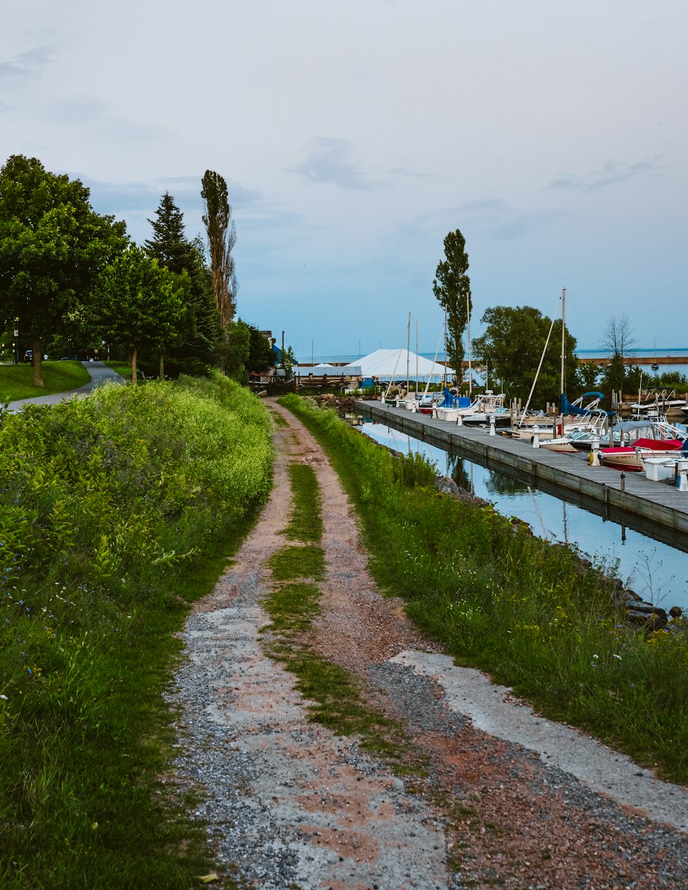 a dirt path next to a body of water