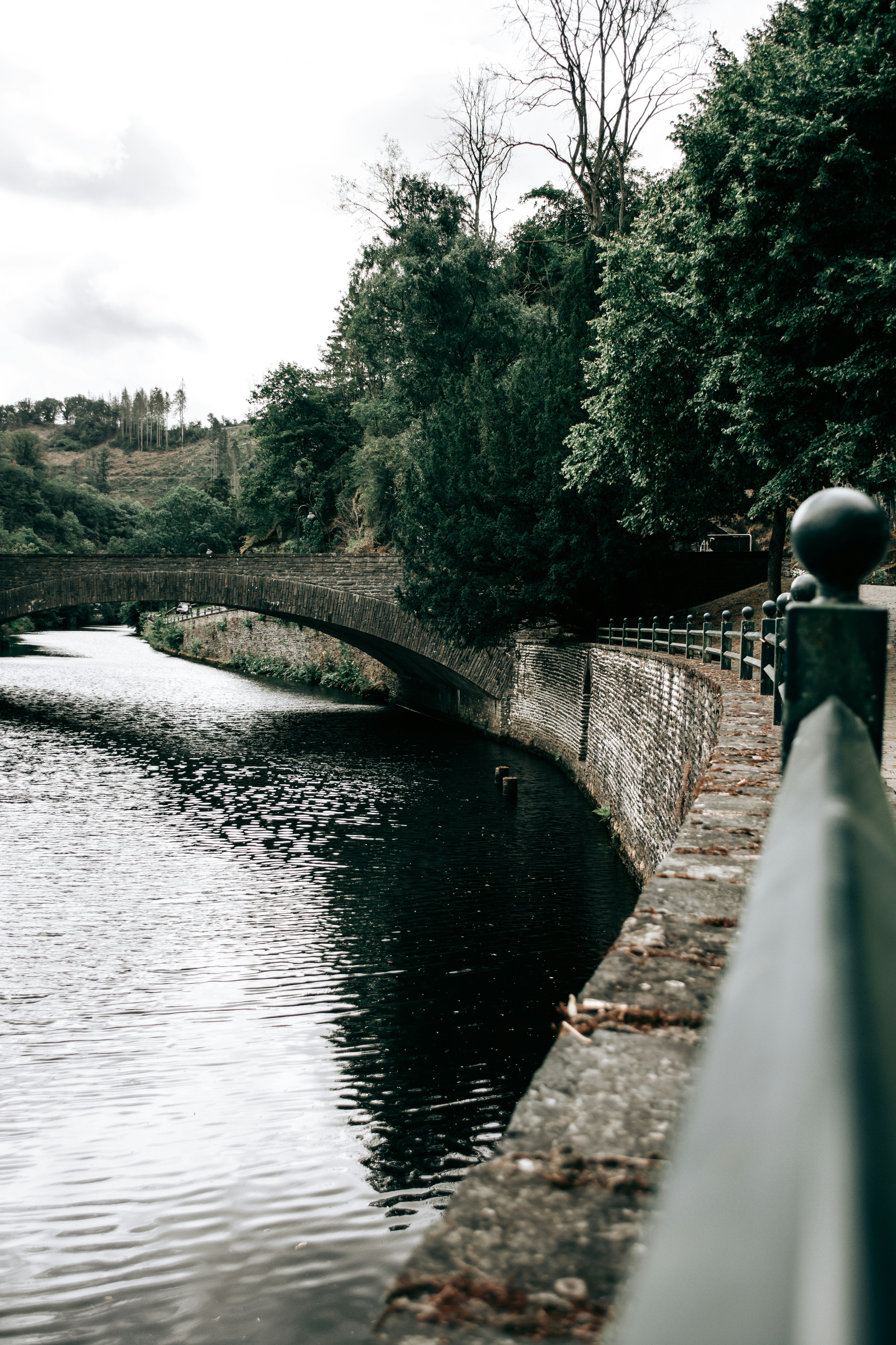 a bridge over a river next to a lush green forest
