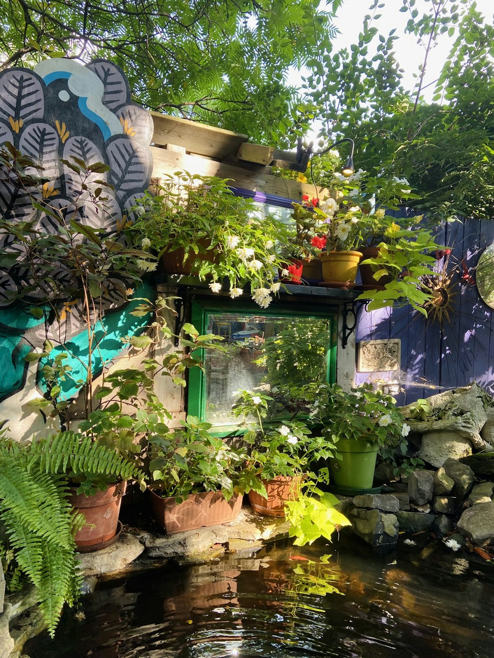 a pond surrounded by plants and a building