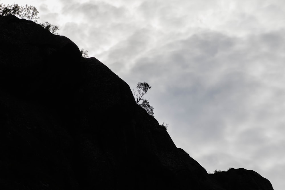 a lone tree sitting on top of a mountain