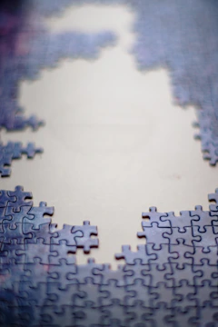 A brain-shaped puzzle with missing pieces symbolizing underdeveloped cognition.