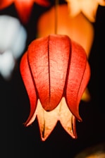 A close-up of a beautifully designed 3D printed lamp.