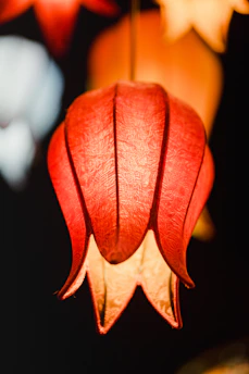 Close-up of a custom 3D printed litophany lamp featuring a personalized design inspired by a movie scene.