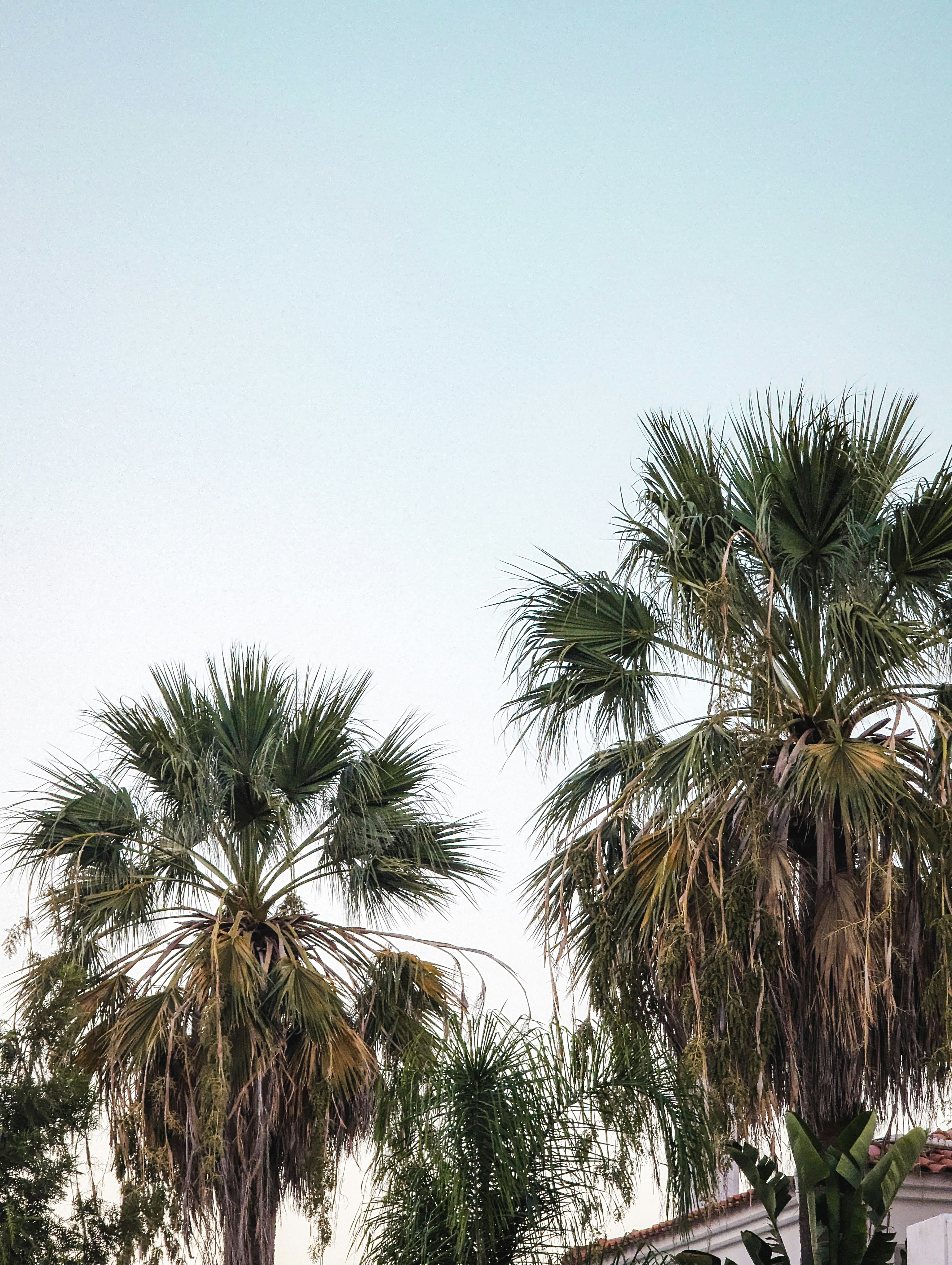 Photo by joaoopinheiro_