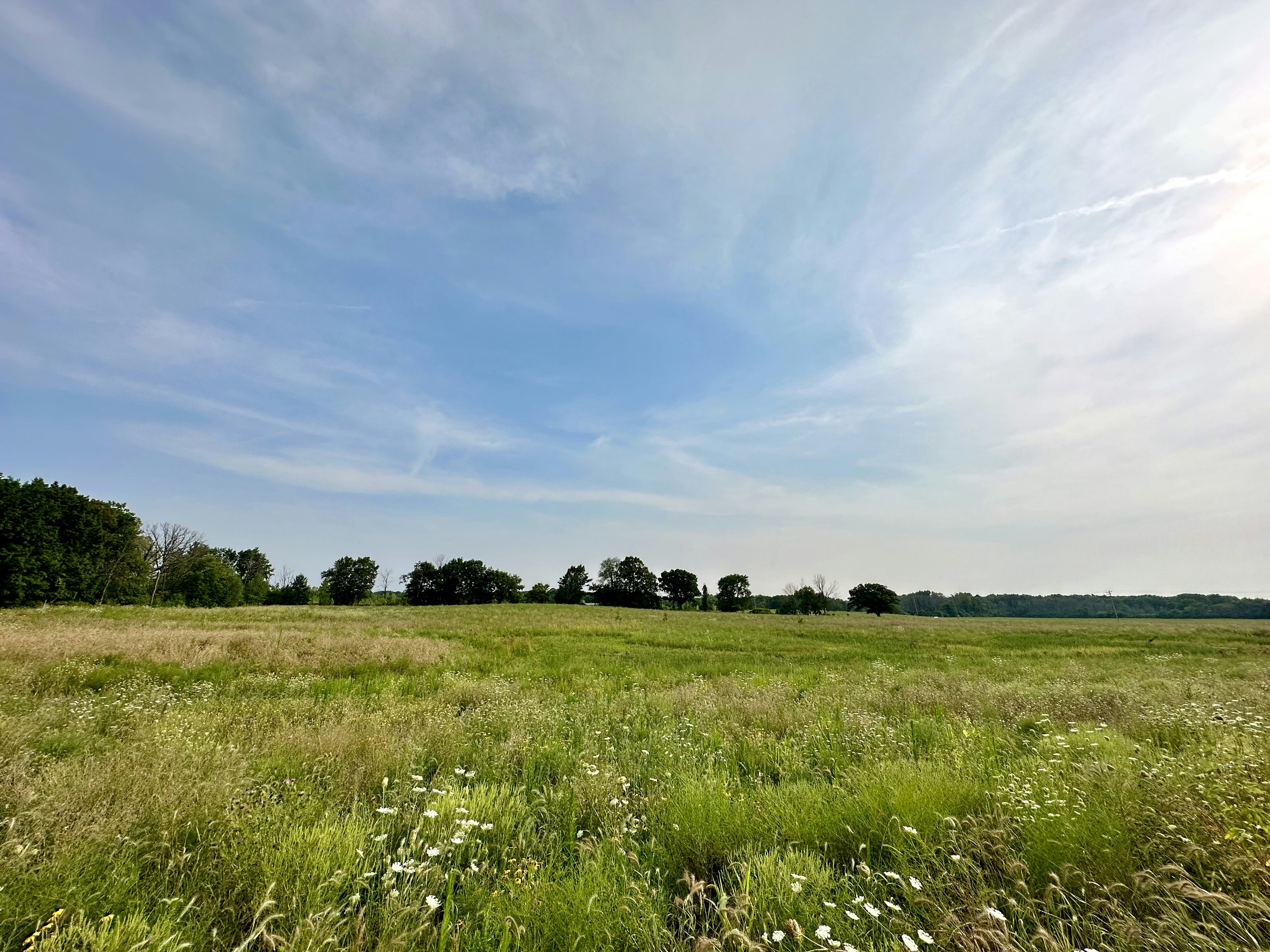 Photo by midkiffaries