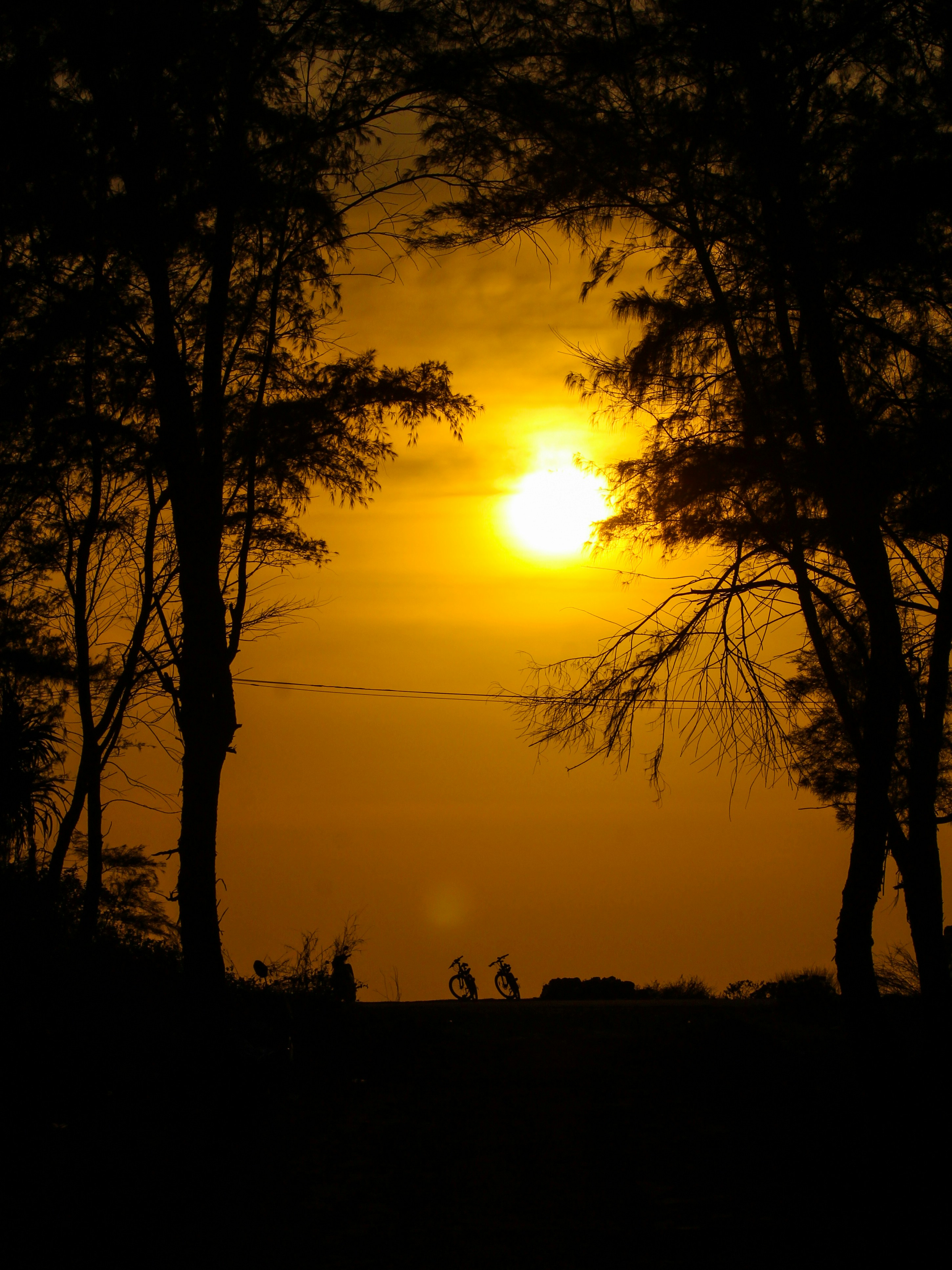 Photo by priyanshh32