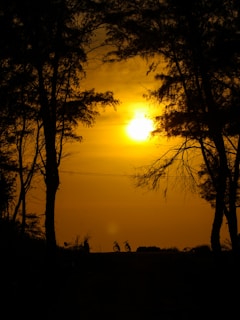 A vibrant sunset view over a cycling trail.
