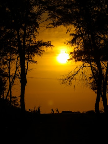 A vibrant sunset view over a cycling trail.