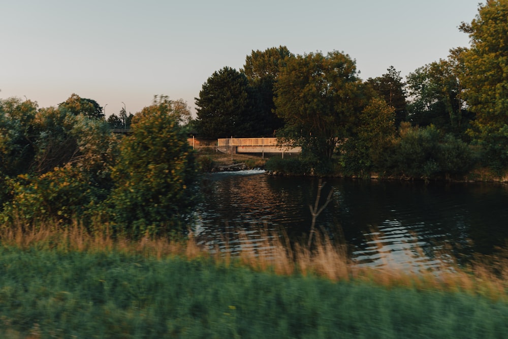 a body of water surrounded by trees and a bridge