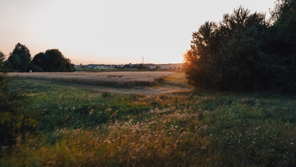 the sun is setting over a field of grass