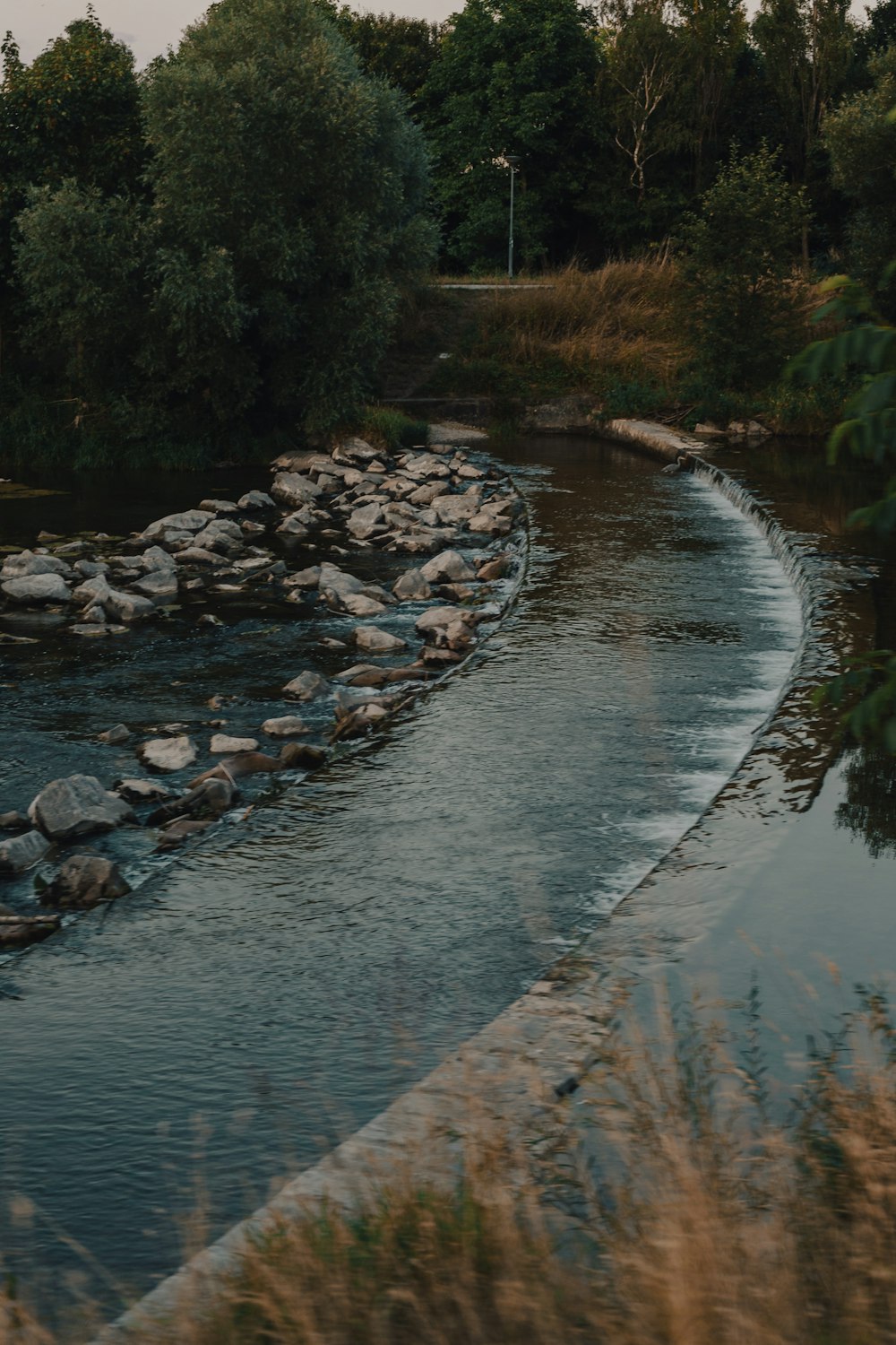 a river running through a lush green forest