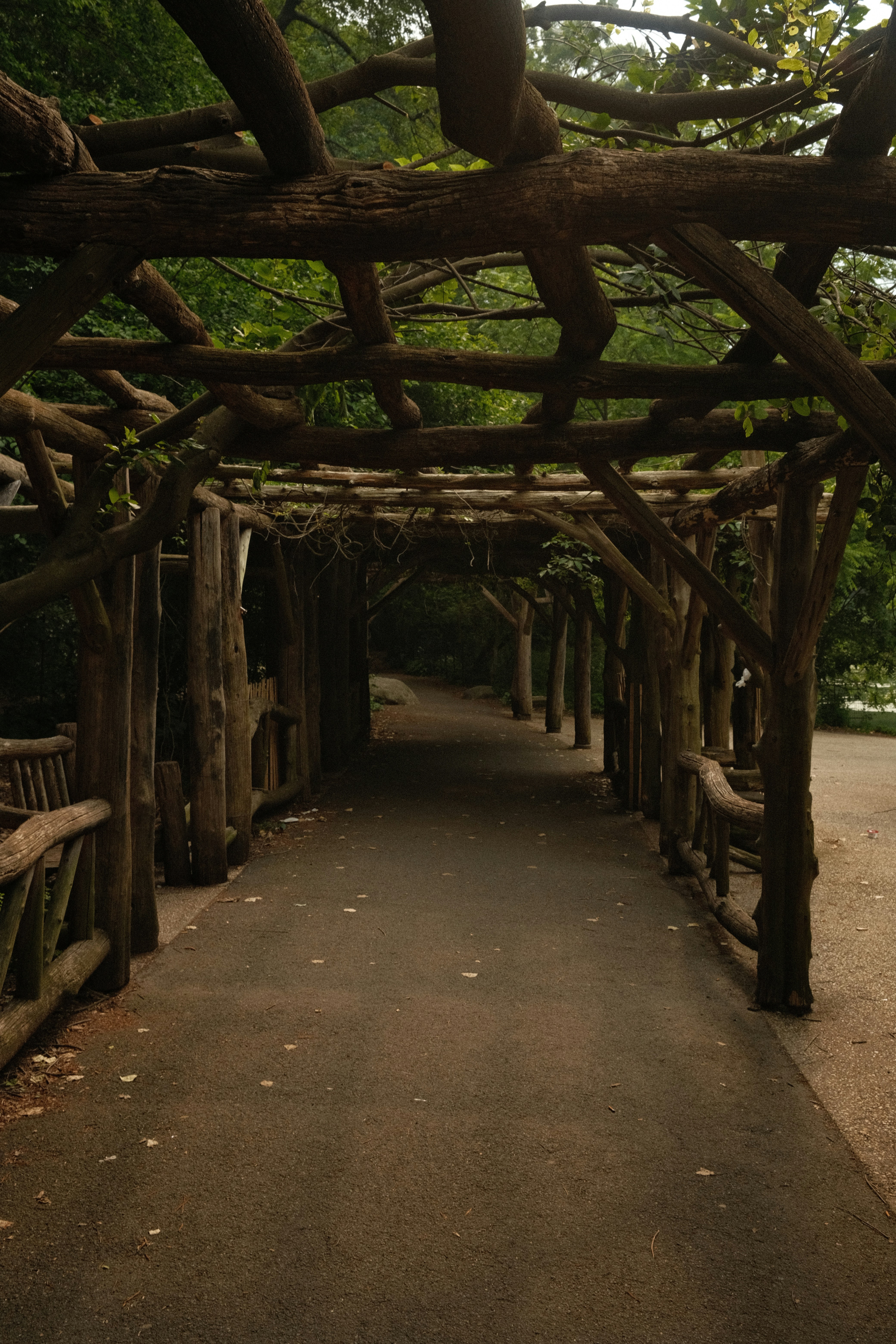 Photo by almostfilmmaker