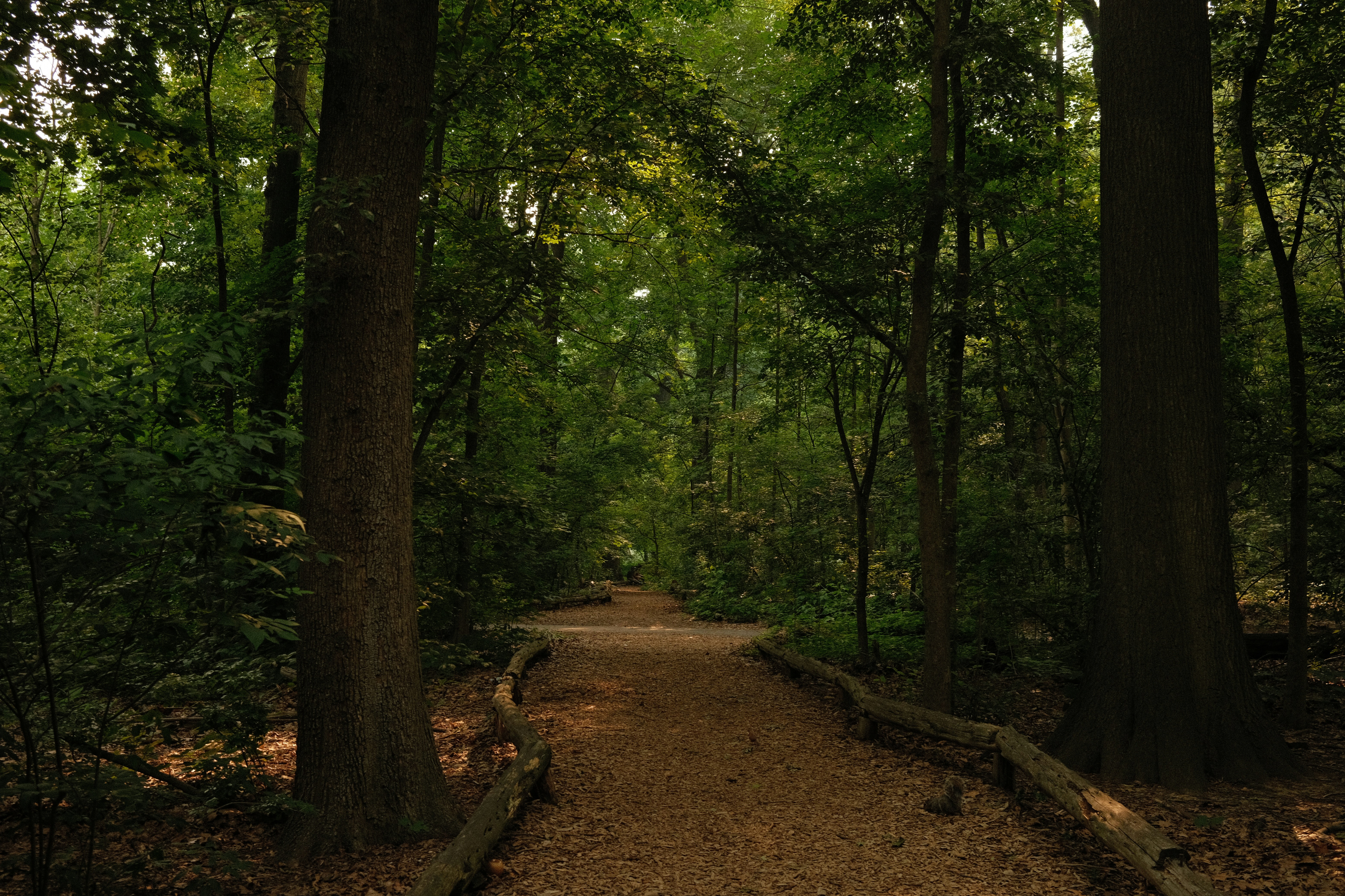 Photo by almostfilmmaker