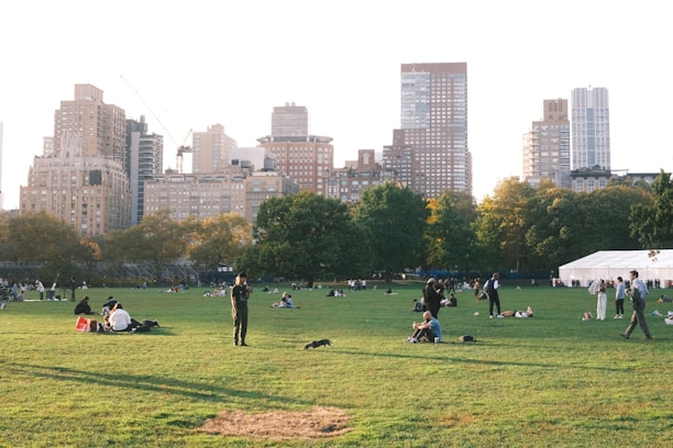 A sunlit pavilion in a leafy University City park with people enjoying a casual outdoor gathering.