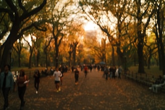 A person walking briskly in a park during sunrise, representing daily physical activity.