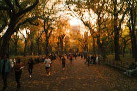 A park scene with people walking and jogging along a tree-lined path. The trees have autumn-colored leaves and the ground is covered with fallen leaves. The lighting suggests it is either early morning or late afternoon.
