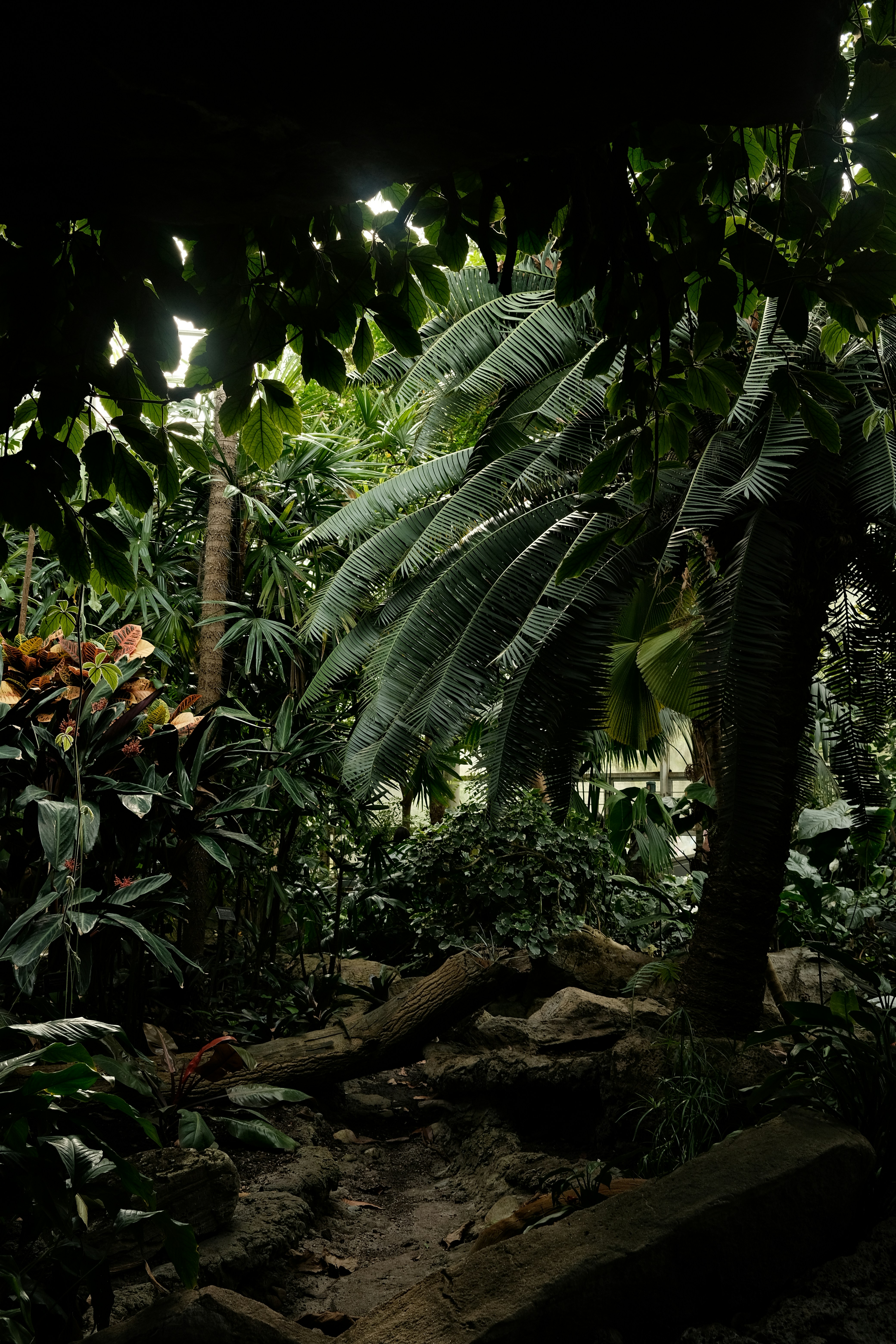 Photo by almostfilmmaker