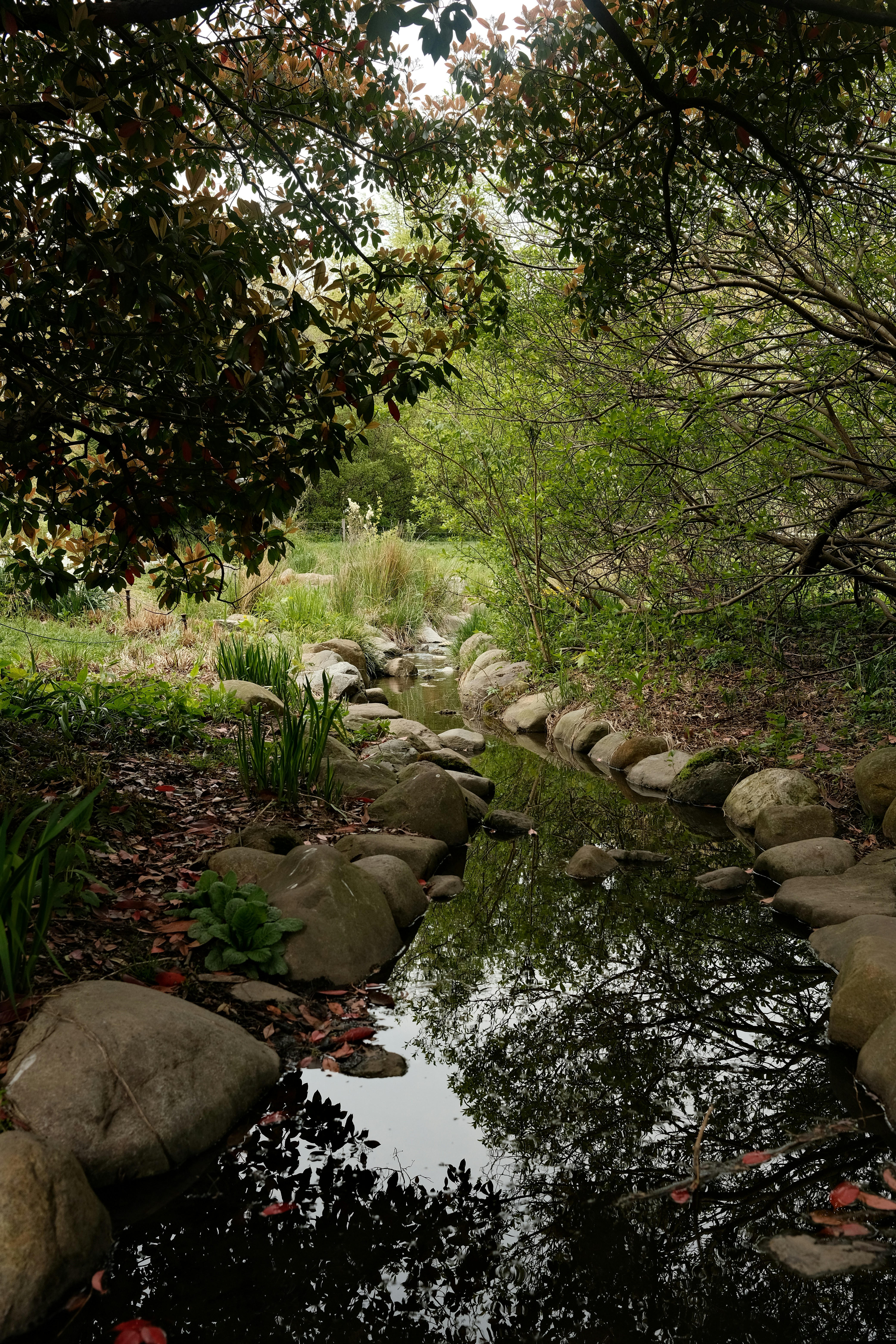 Peaceful memorial garden with flowers and natural elements