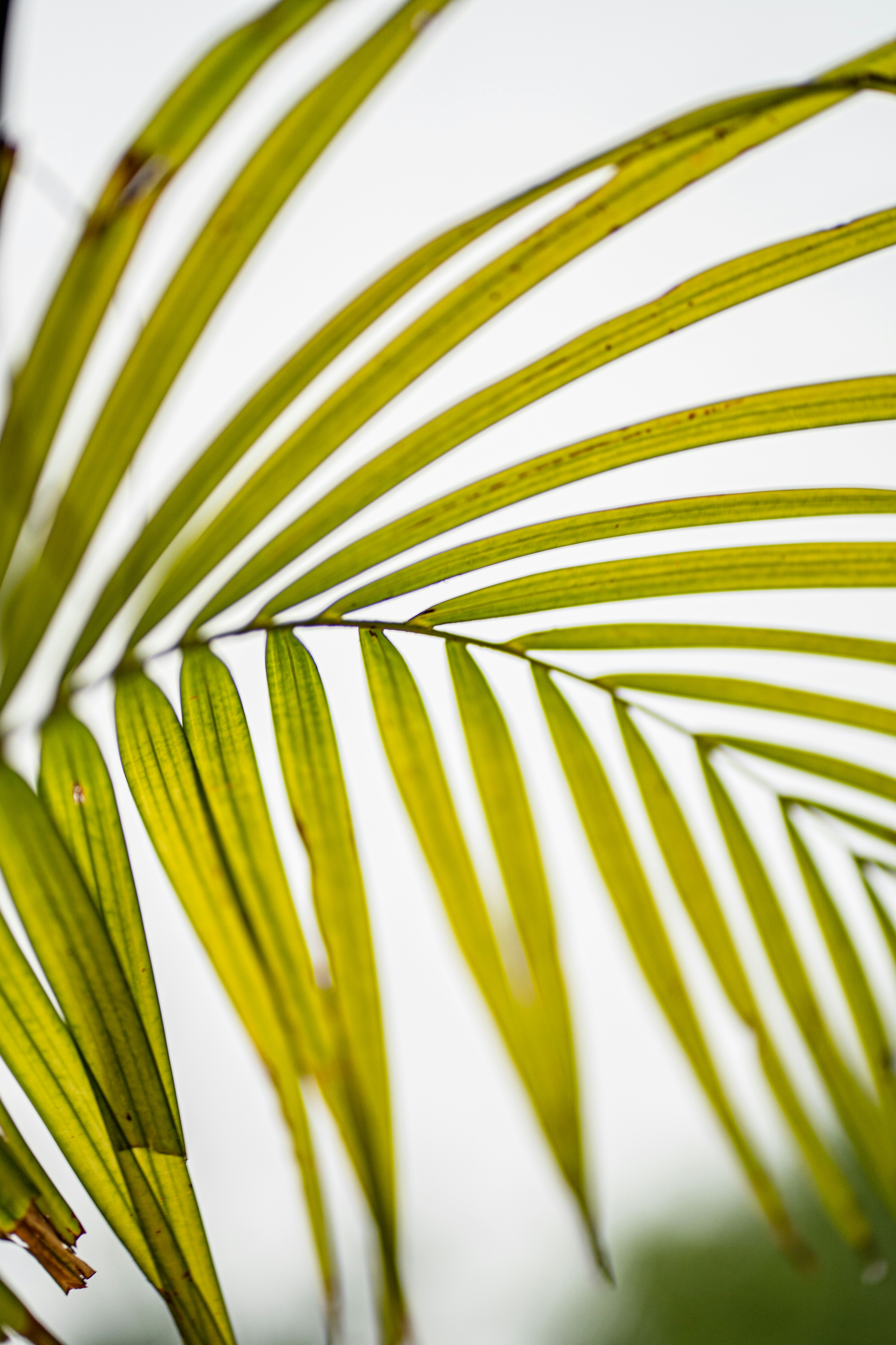 Photo by almostfilmmaker