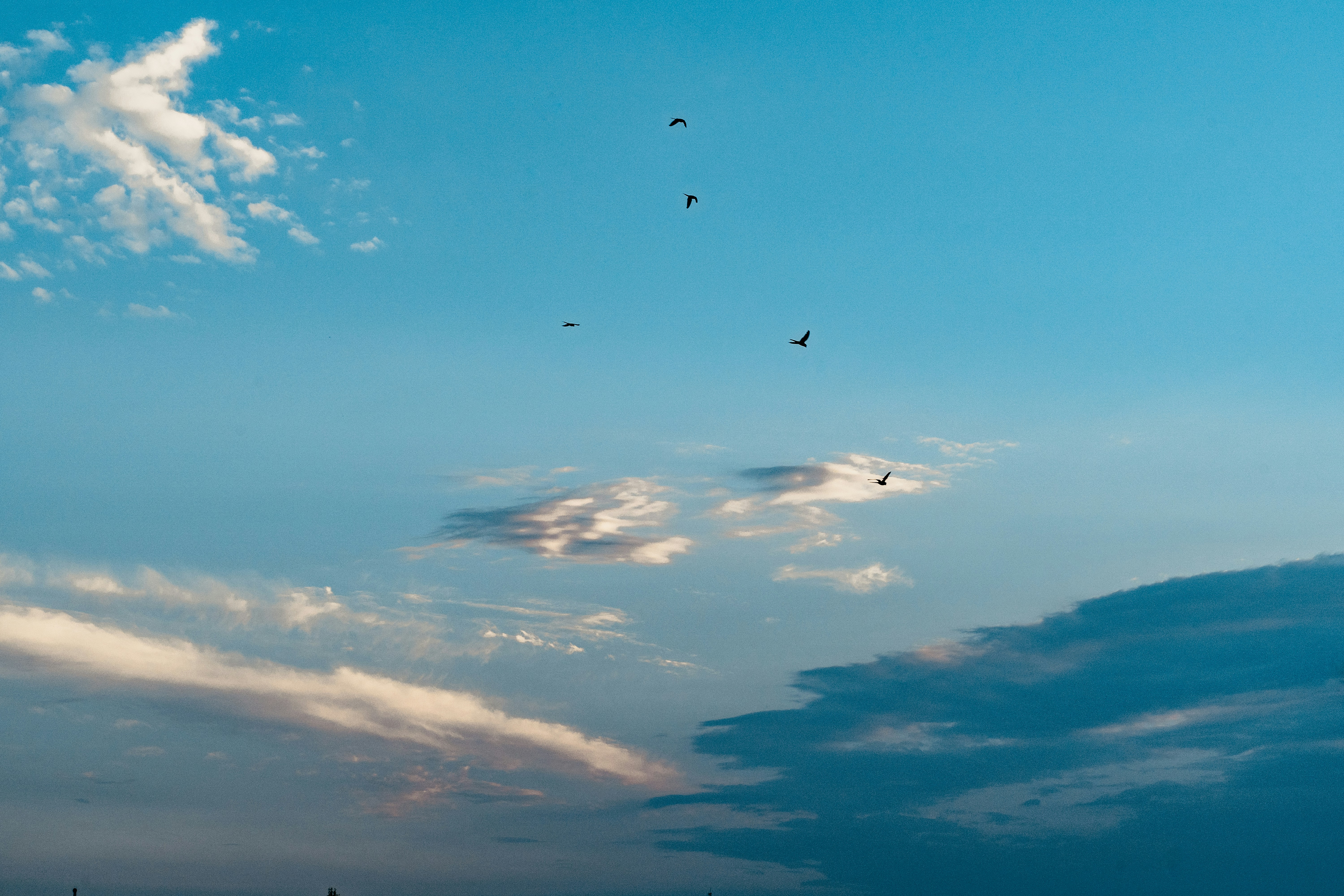 Photo by almostfilmmaker