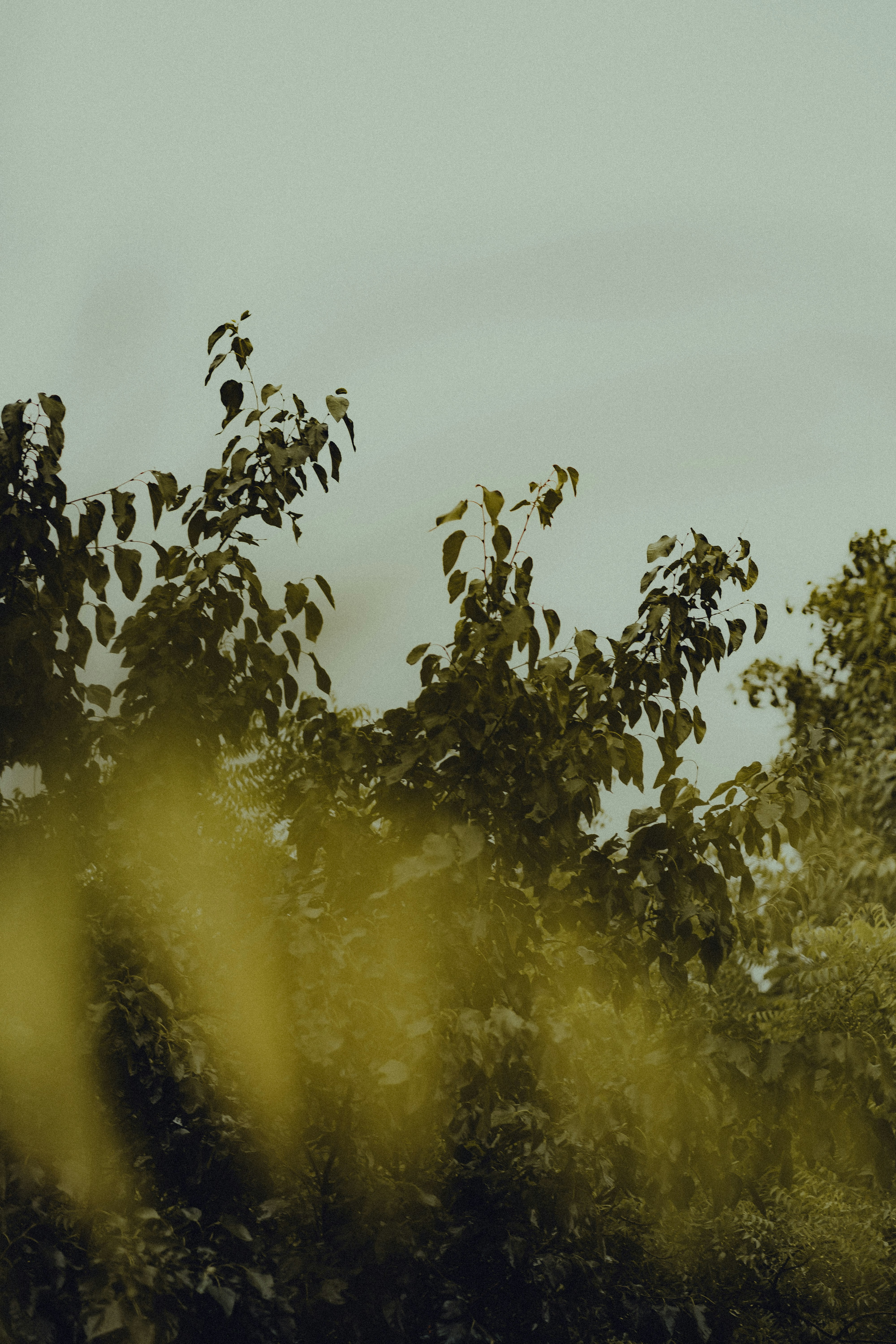 Photo by almostfilmmaker