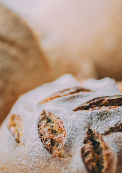 Close-up of a rustic artisan sourdough loaf with a golden crust resting on a wooden board dusted with flour.