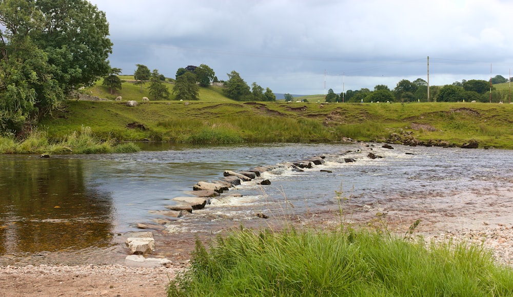 a river with rocks in the middle of it