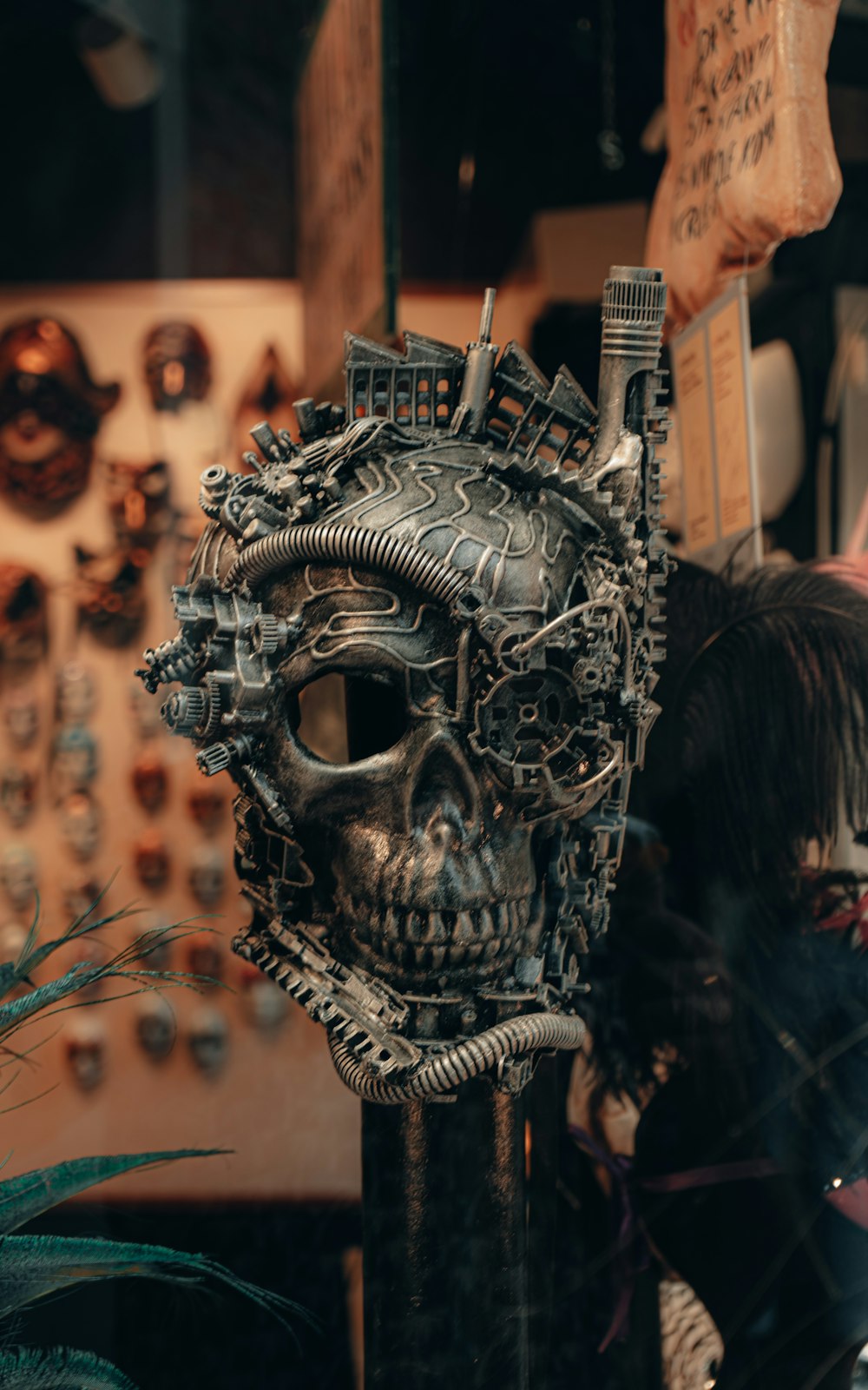 a sculpture of a human skull in a shop window