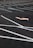 Close-up of freshly painted bright white parking lines on smooth asphalt.