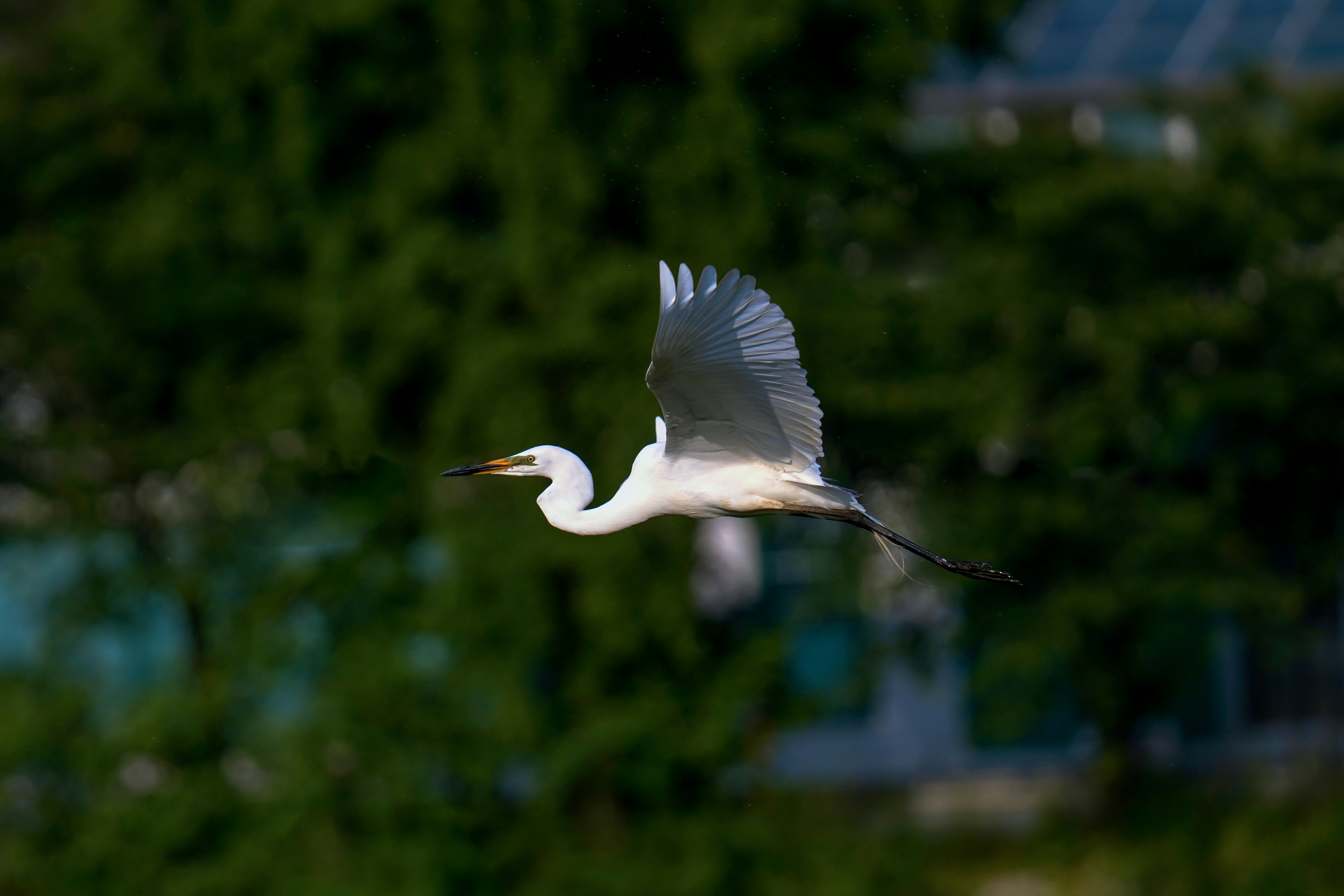 Photo by kim_dae_jeung