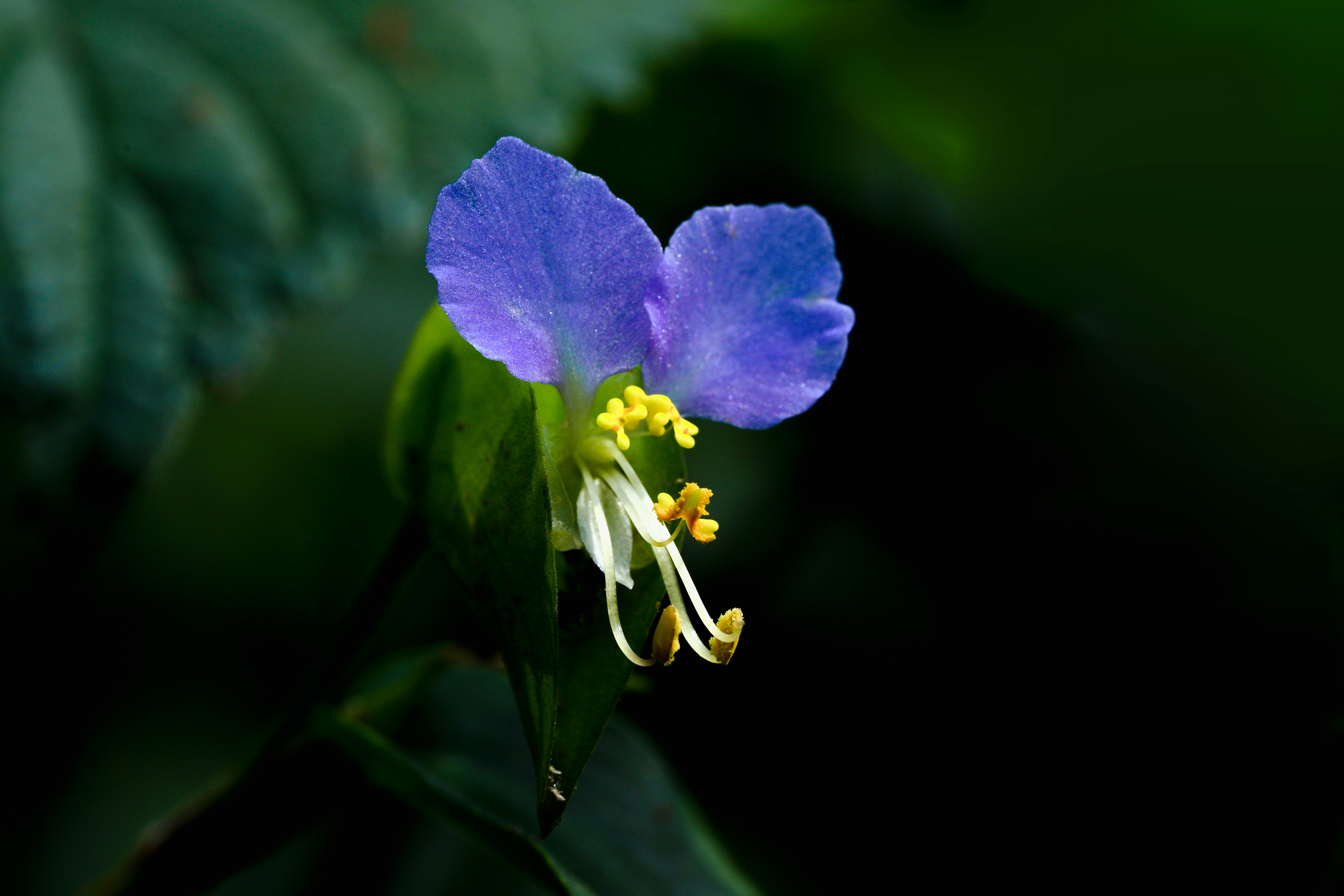 Photo by kim_dae_jeung