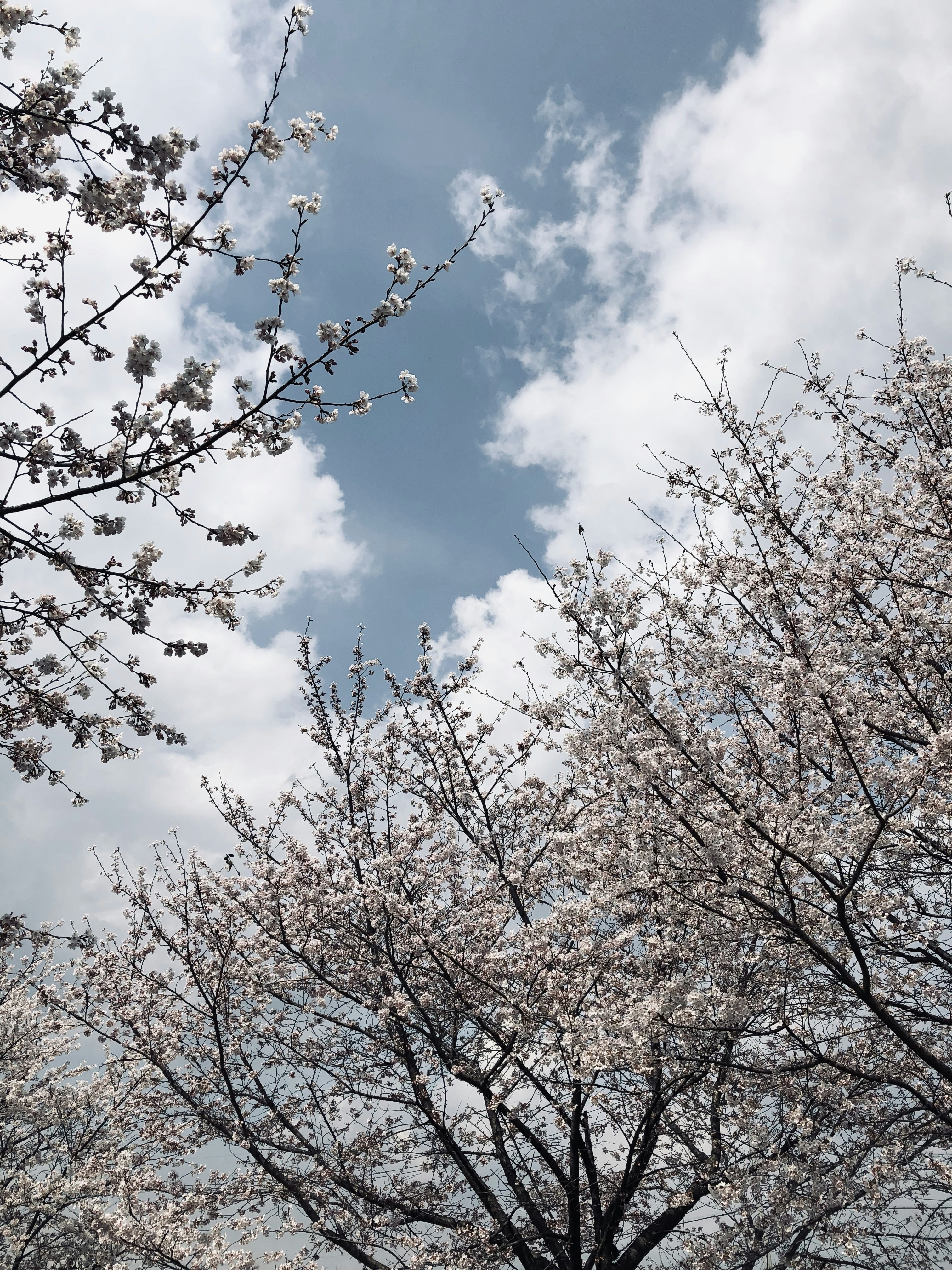 Photo by kimdirector