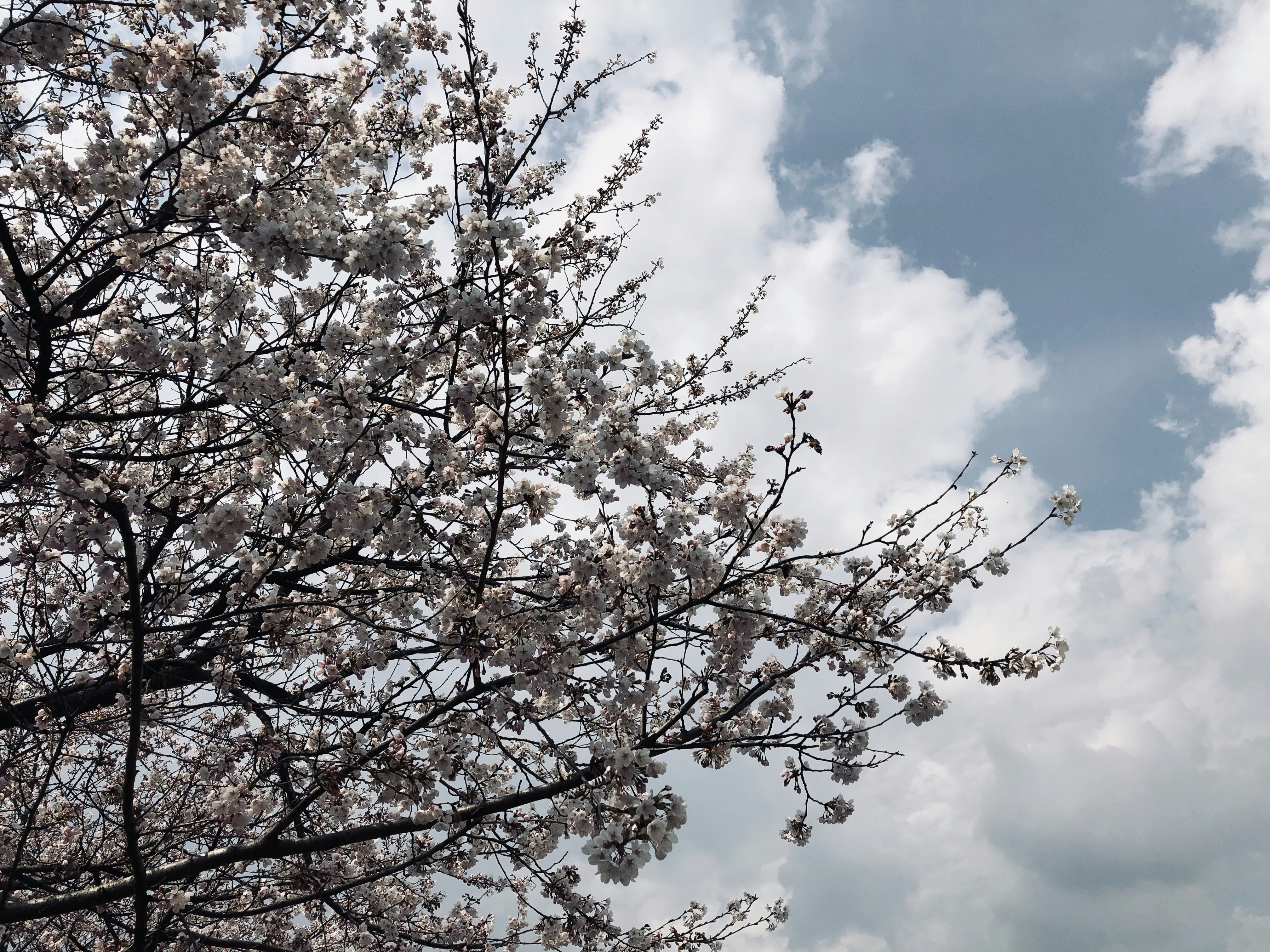 Photo by kimdirector