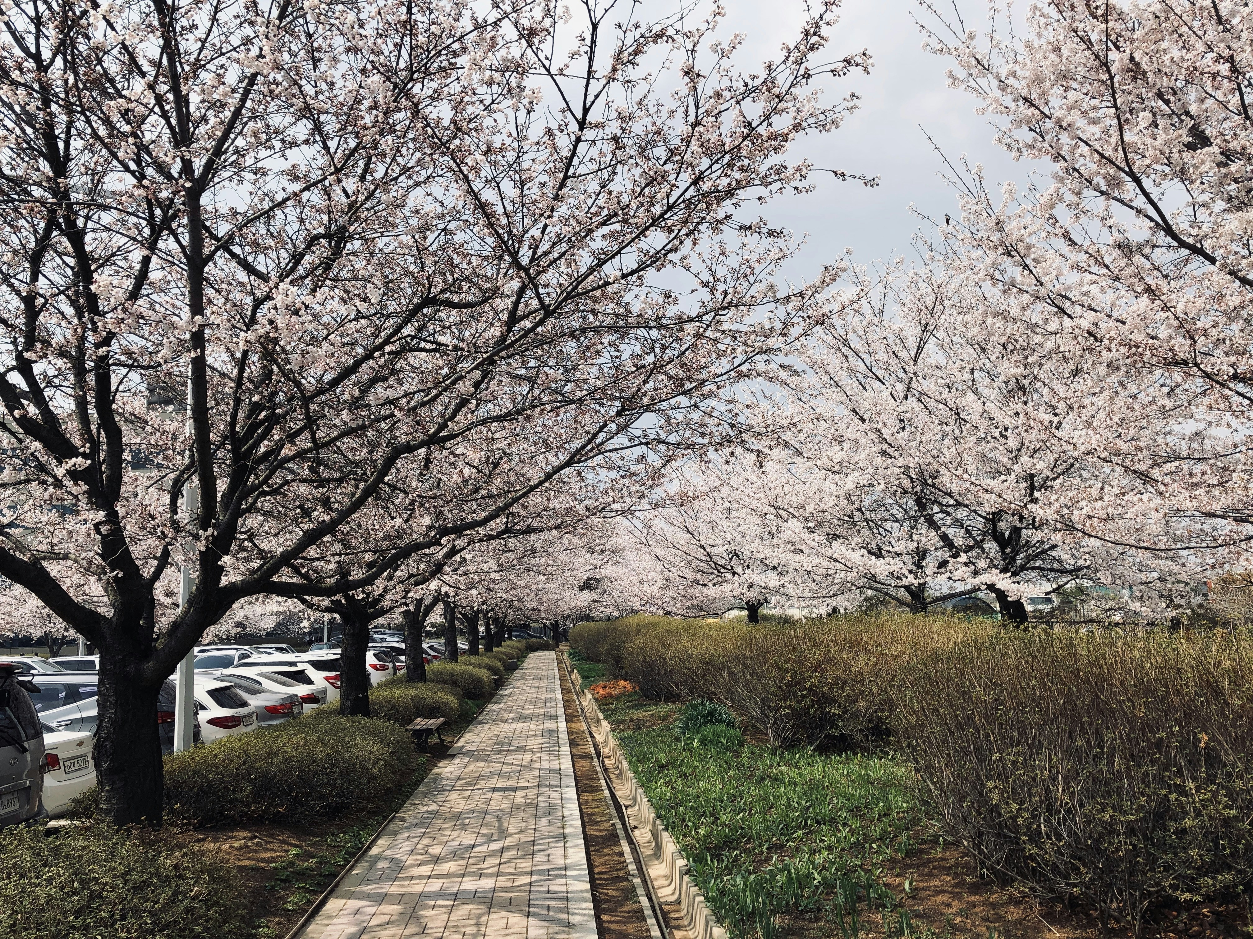 Photo by kimdirector