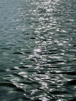 Sunlight reflecting off rippling water in a carefully engineered urban floodplain park.
