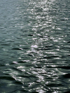 Sunlight reflecting off rippling water in a carefully engineered urban floodplain park.