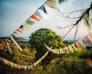 Colorful prayer flags fluttering against the crisp mountain air near a remote Himachal village.