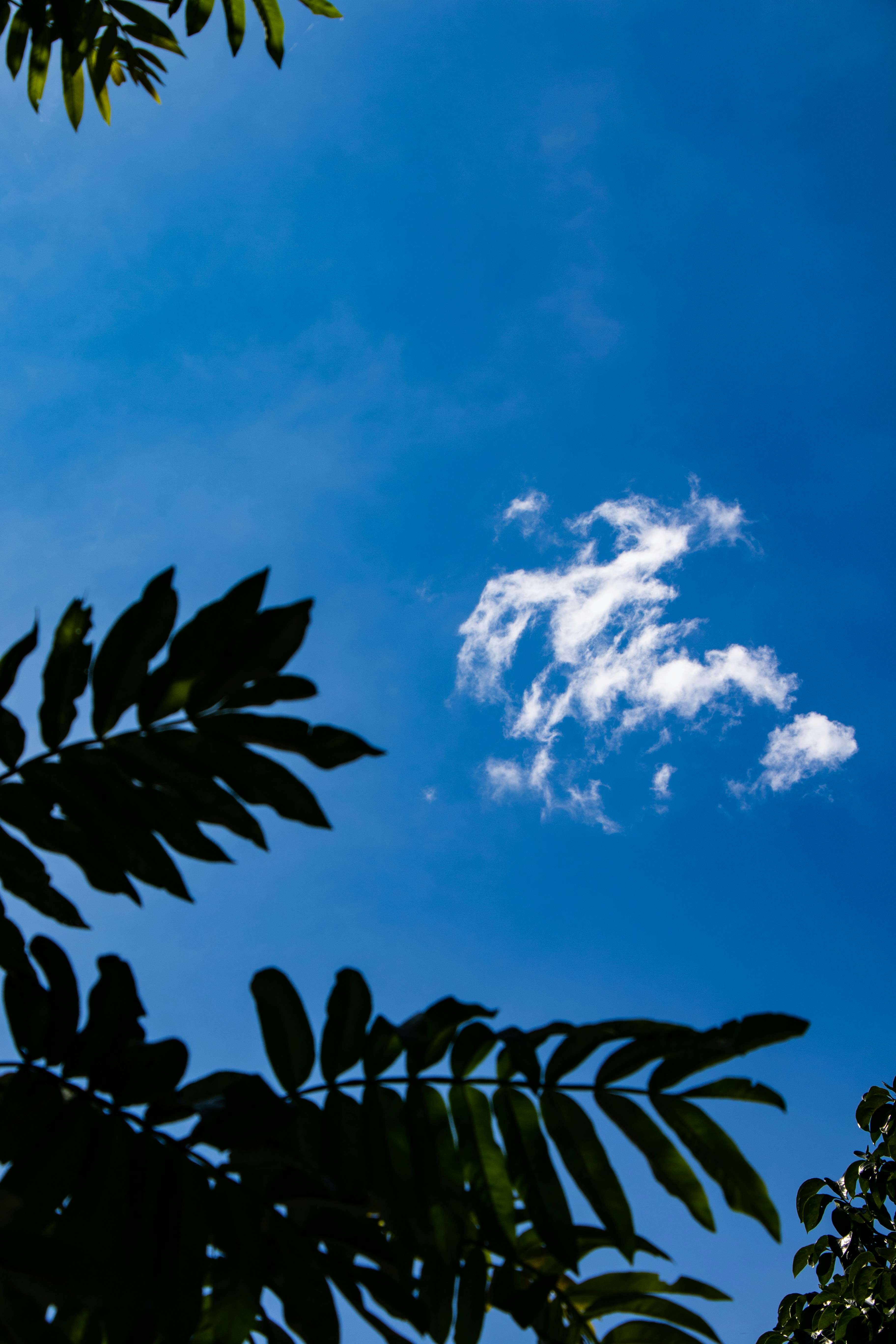 Photo by lyb69177116