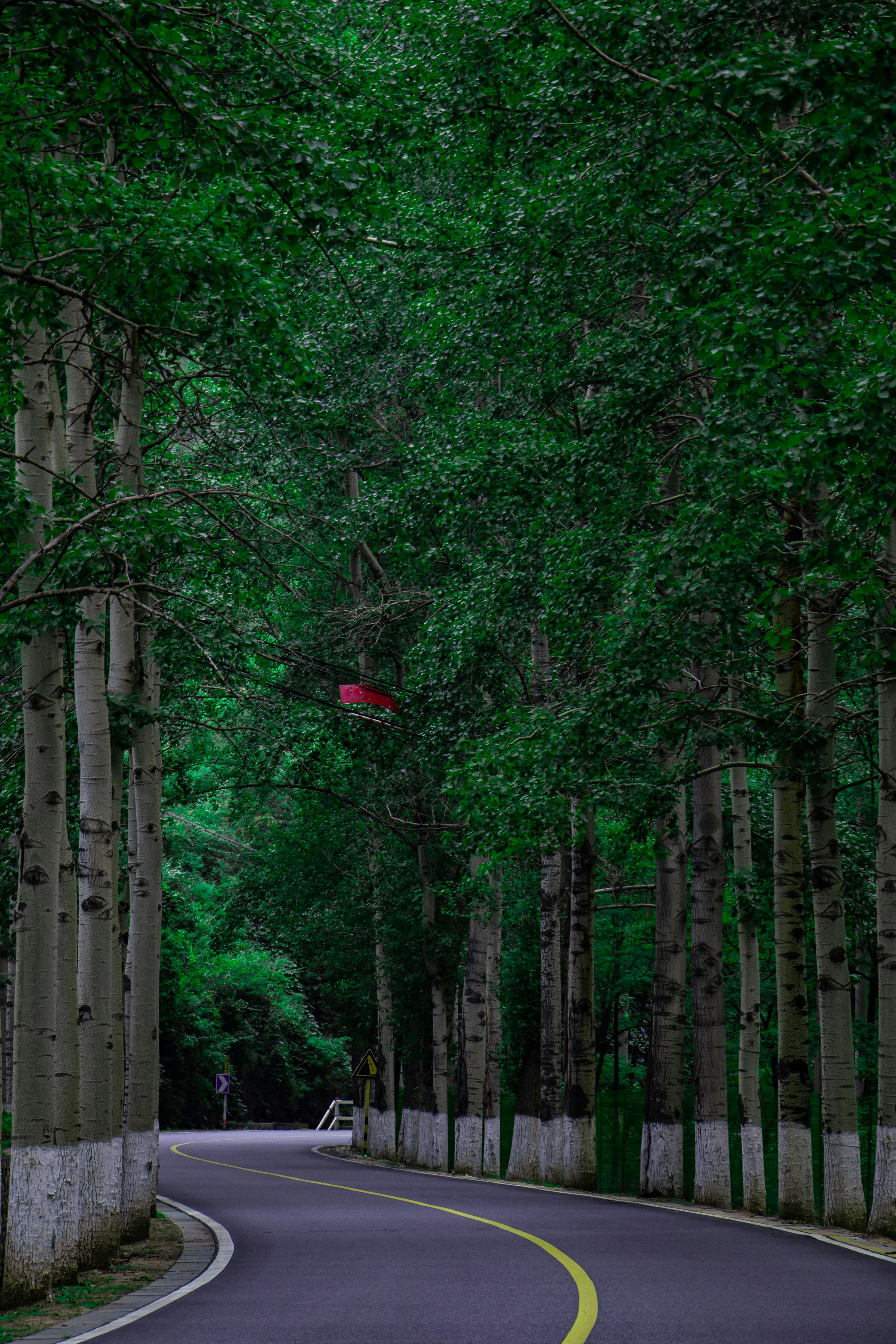 Photo by lyb69177116